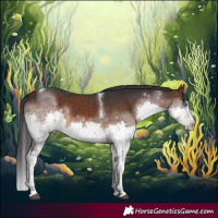 Horse Color:Brown Mushroom Splash Tobiano 