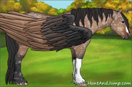 Horse Color:Bay Ice Dun 