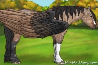 Horse Color:Bay Ice Dun 