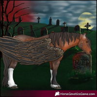 Horse Color:Brown Tobiano 