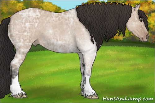 Horse Color:Bay Ice Roan Dun 