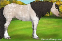 Horse Color:Bay Ice Roan Dun 