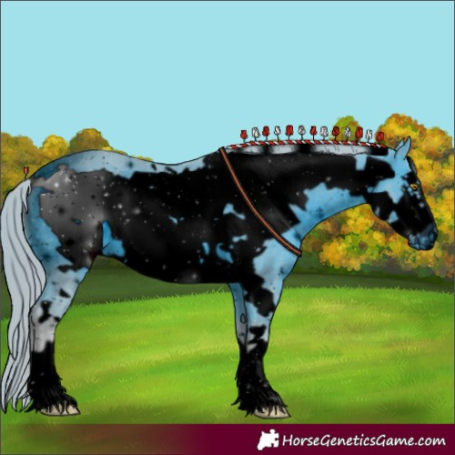 Horse Color:ERROR: UNKNOWN ANOMALY