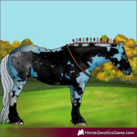 Horse Color:ERROR: UNKNOWN ANOMALY