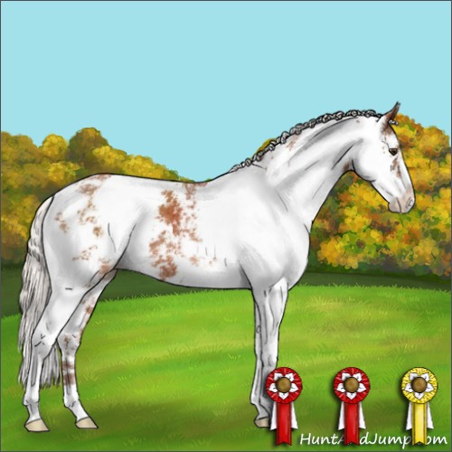 Horse Color:Silver Buckskin Sabino 