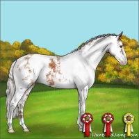 Horse Color:Silver Buckskin Sabino 