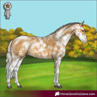 Horse Color:Silver Buckskin Sabino 