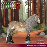 Horse Color:Gray White Spotted Silver Buckskin Dun Mushroom 