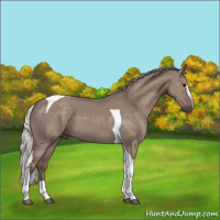 Horse Color:Silver Grullo Sabino Tobiano