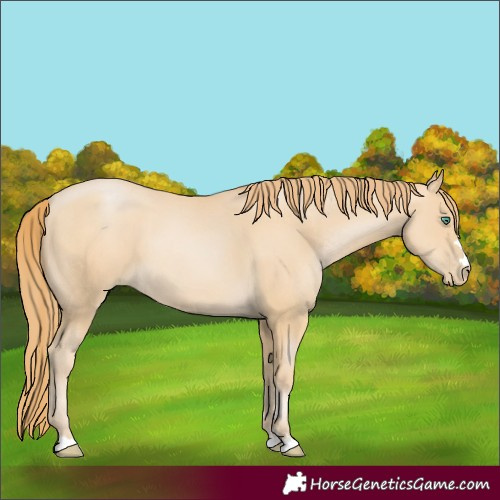 Horse Color:Smoky Black Pearl 