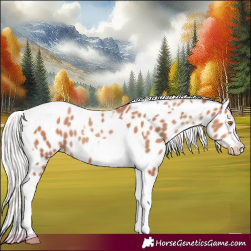 Horse Color:Silver Classic Champagne Tobiano Near Leopard