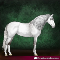 Horse Color:Gray Silver Blue Roan 