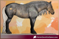 Horse Color:Silver Smoky Blue Roan