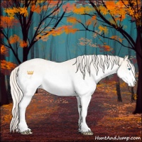 Horse Color:White Spotted Cremello Roan 