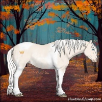 Horse Color:Silver Perlino Tobiano Rabicano 
