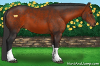 Horse Color:Brown Tobiano
