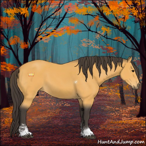 Horse Color:Buckskin Sabino Tobiano 