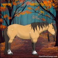 Horse Color:Buckskin Sabino Tobiano