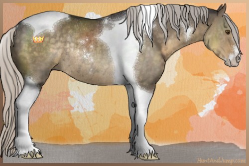 Horse Color:Silver Smoky Grullo Mushroom Sabino Tobiano Rabicano 