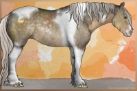 Horse Color:Silver Smoky Grullo Mushroom Sabino Tobiano Rabicano 