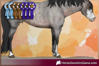 Horse Color:Brown Roan Sabino Rabicano