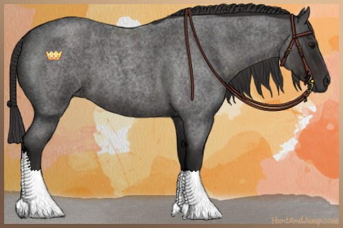 Horse Color:Smoky Blue Roan 