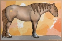 Horse Color:Liver Red Roan Pearl Sabino Rabicano 