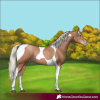 Horse Color:Silver Black Pearl Tobiano 