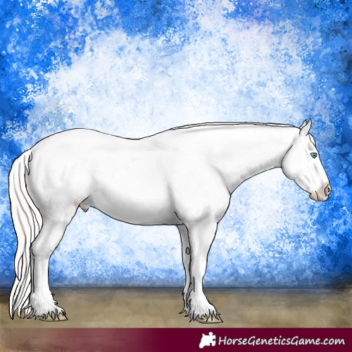 Horse Color:Cremello Dun Near Leopard