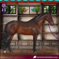 Horse Color:Brown 