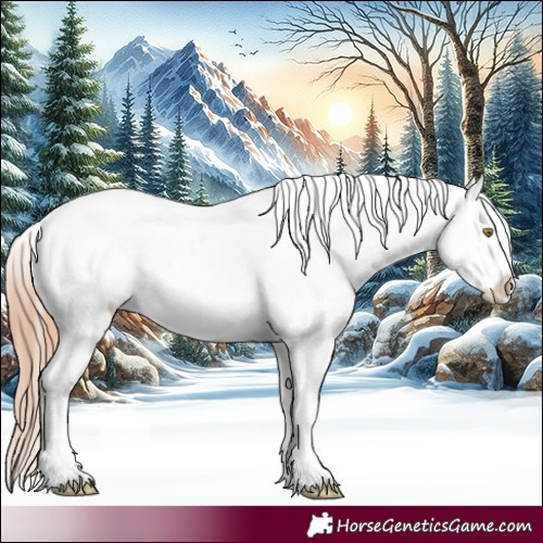 Horse Color:Gold Champagne Appaloosa  and Gold Champagne Appaloosa 