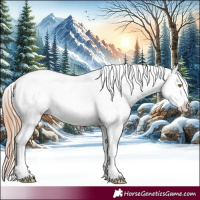 Horse Color:Gold Champagne Appaloosa and Gold Champagne Appaloosa