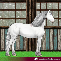 Horse Color:Silver Smoky Creme Dun 