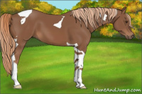 Horse Color:Chestnut Tobiano 
