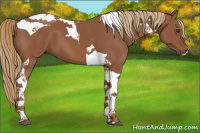 Horse Color:Chestnut Tobiano 
