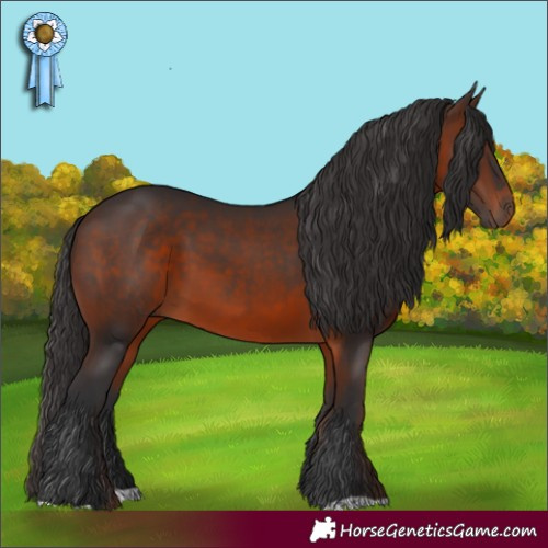 Horse Color:Brown 