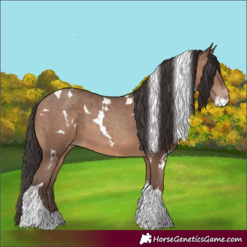 Horse Color:White Spotted Sable Champagne Tobiano