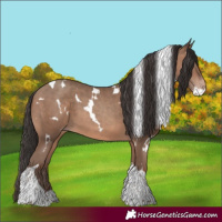Horse Color:White Spotted Sable Champagne Tobiano