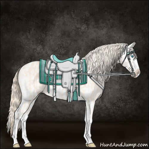 Horse Color:Perlino Splash  and Perlino Splash Appaloosa 