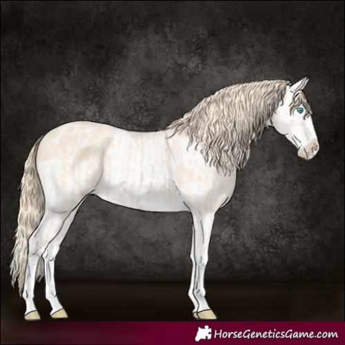 Horse Color:Perlino Splash and Perlino Splash Blanket