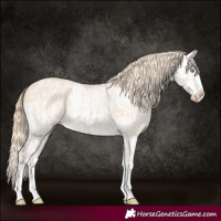 Horse Color:Perlino Splash  and Perlino Splash Blanket 