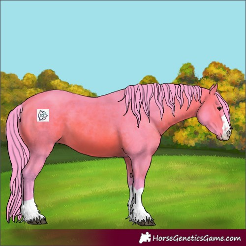 Horse Color:Watercolor Bay 