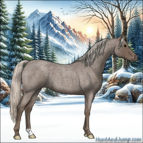 Horse Color:Silver Blue Roan