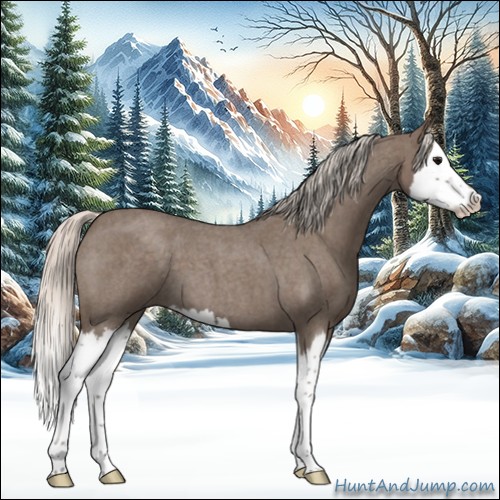 Horse Color:Silver Blue Roan Splash