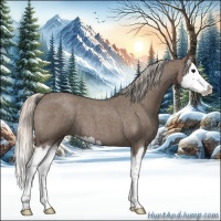 Horse Color:Silver Blue Roan Splash 