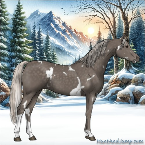 Horse Color:White Spotted Silver Black Tobiano
