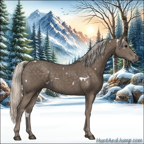 Horse Color:White Spotted Silver Black 