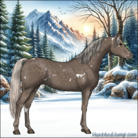 Horse Color:White Spotted Silver Black 