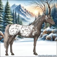 Horse Color:White Spotted Silver Blue Roan Appaloosa 