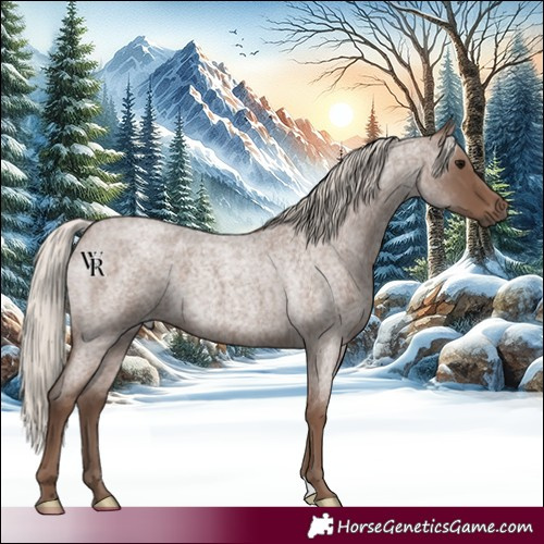Horse Color:Silver Blue Roan 